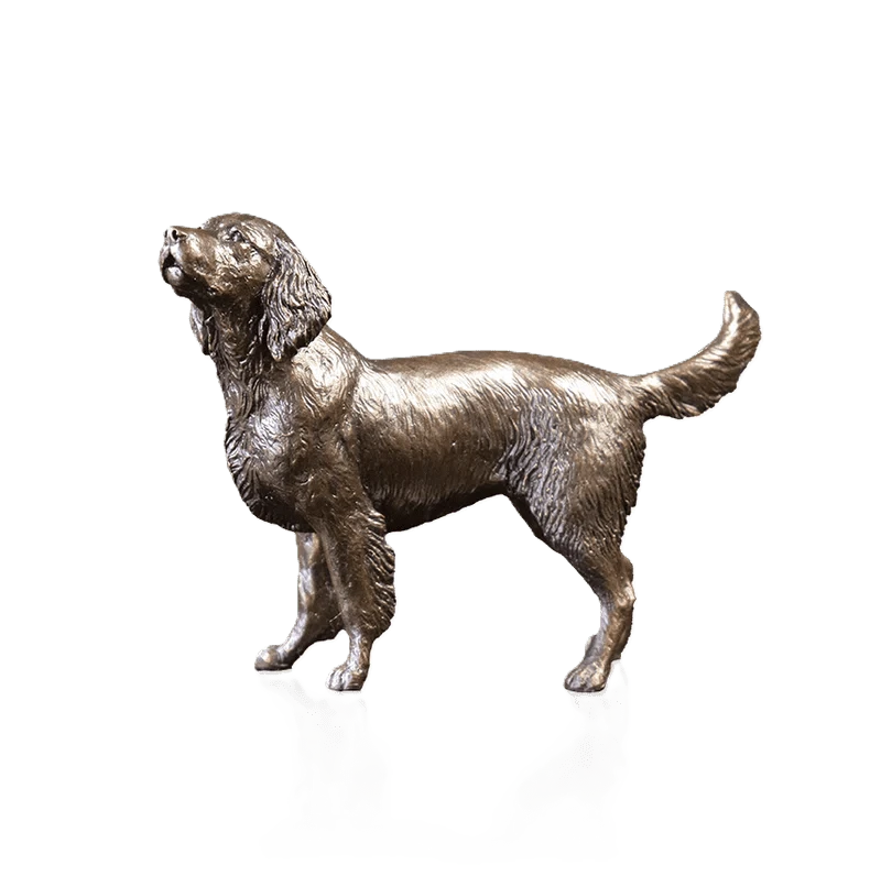richard cooper limited edition bronze medium springer spaniel figurine - Charterwells