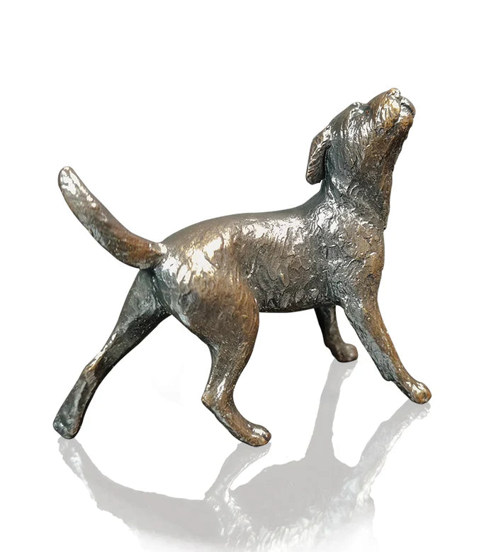 Richard Cooper Limited Edition Bronze Border Terrier Figurine