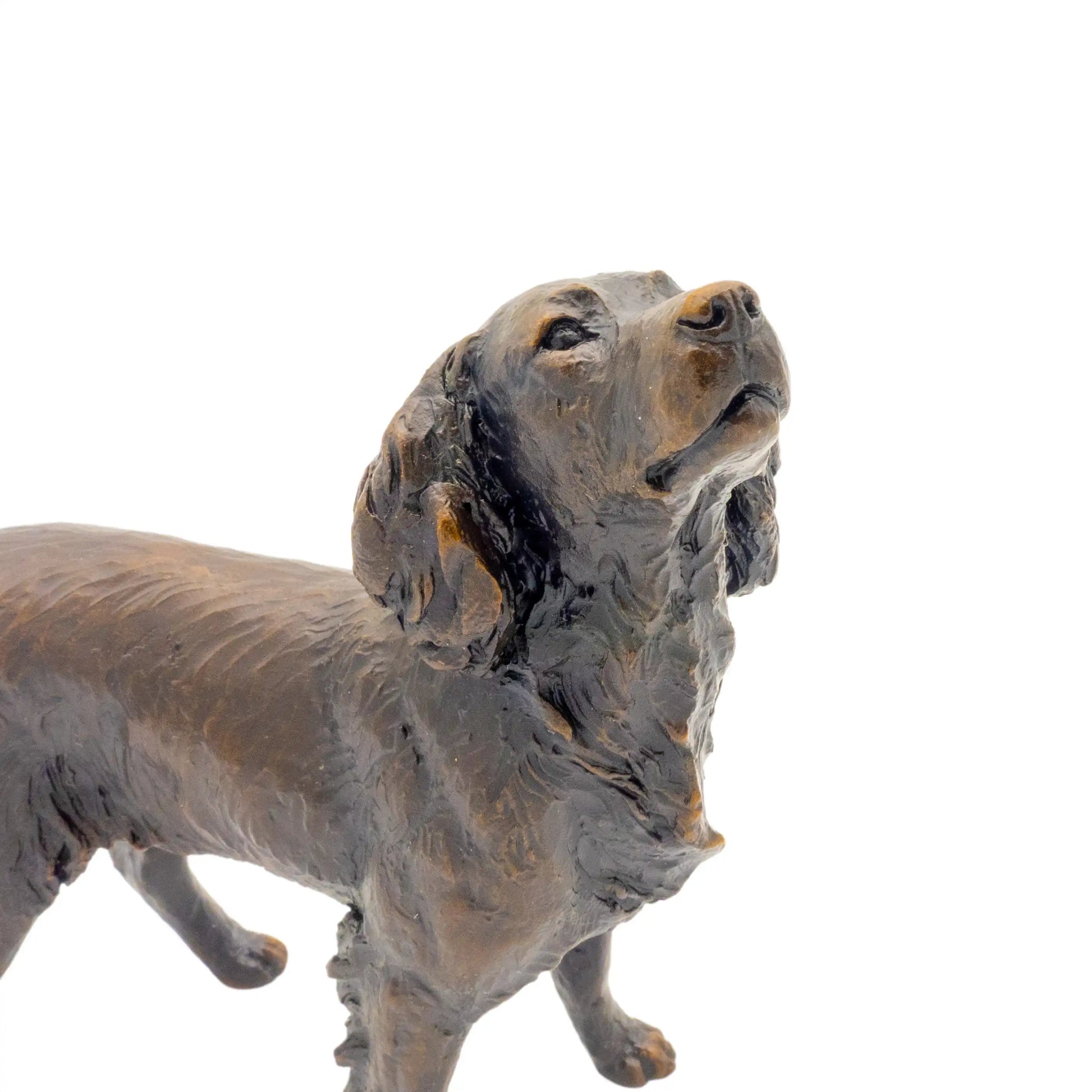 Richard Cooper Bronze Medium Springer Spaniel Figurine Charterwells