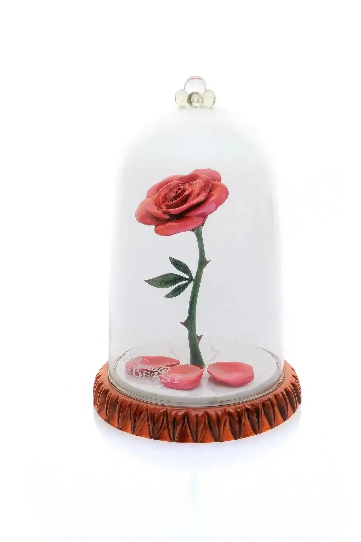 Enchanted Rose image 0
