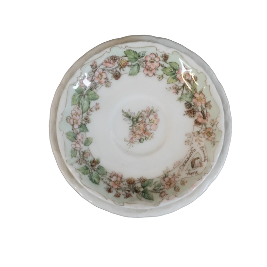 Royal Doulton Brambly Hedge Summer Miniature Tea Cup and Saucer - Charterwells