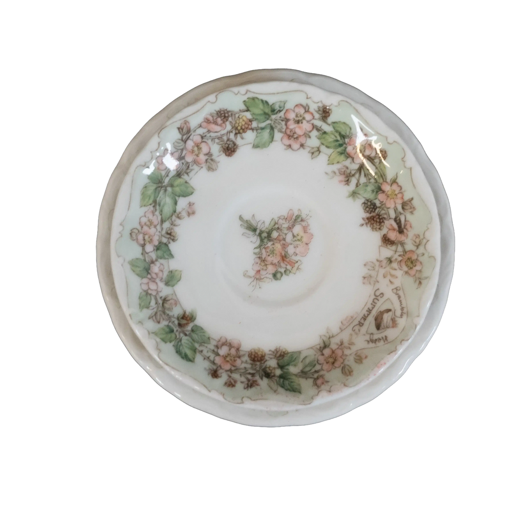 Royal Doulton Brambly Hedge Summer Miniature Tea Cup and Saucer - Charterwells