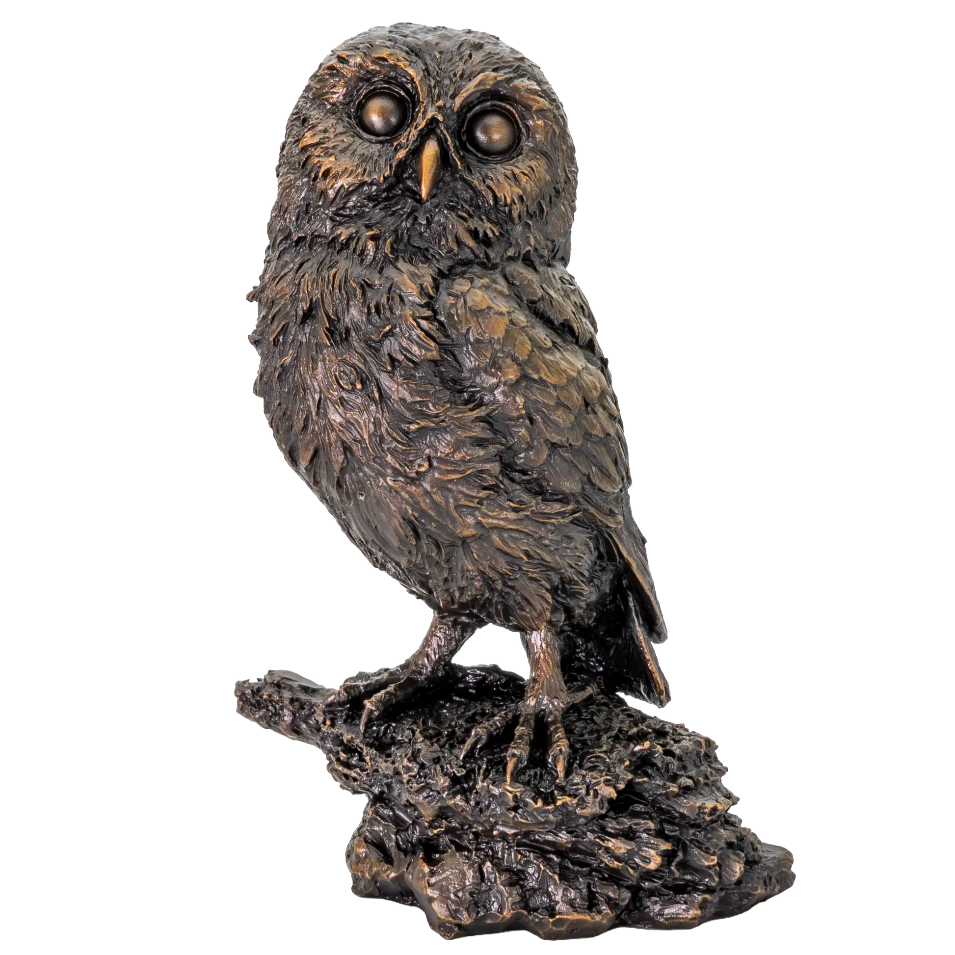 Richard Cooper Bronze Birds Collection Little Owl