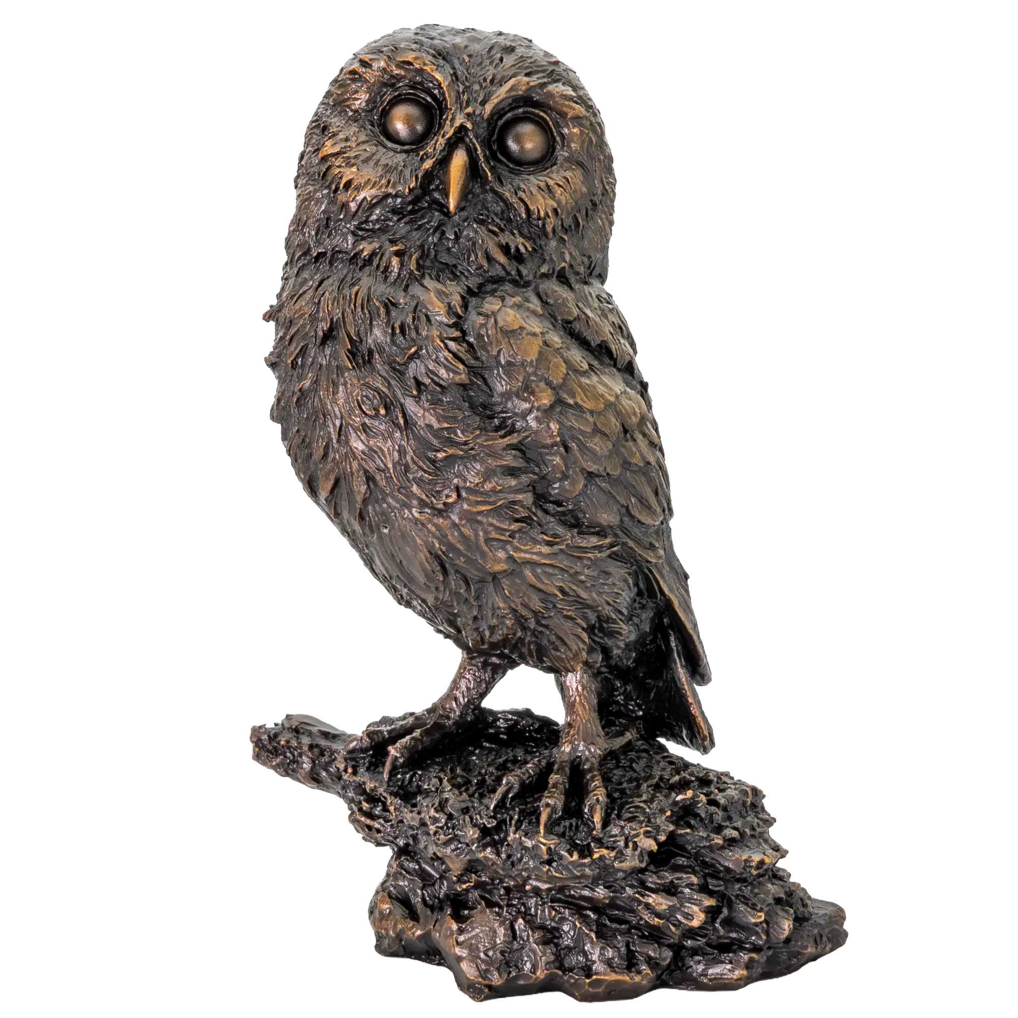Richard Cooper Bronze Birds Collection Little Owl