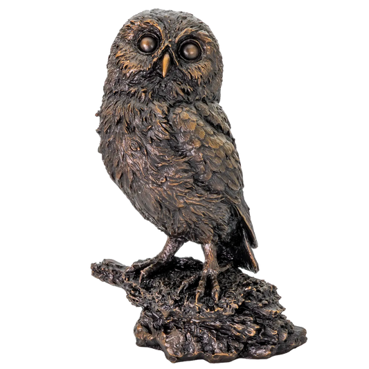 Richard Cooper Bronze Birds Collection Little Owl