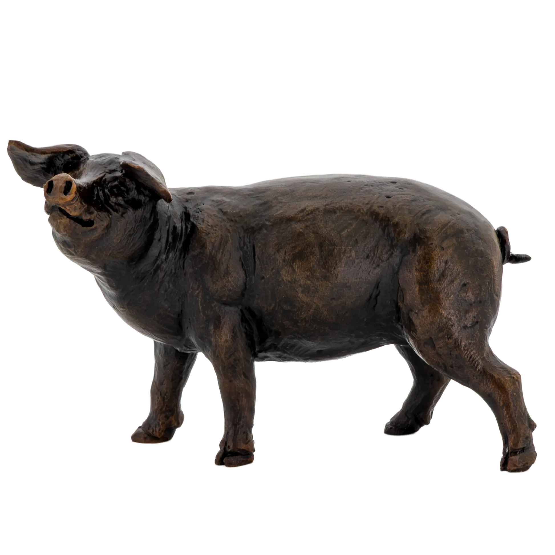 Richard Cooper Bronze Animals Collection Gloucester Old Spot Figurine