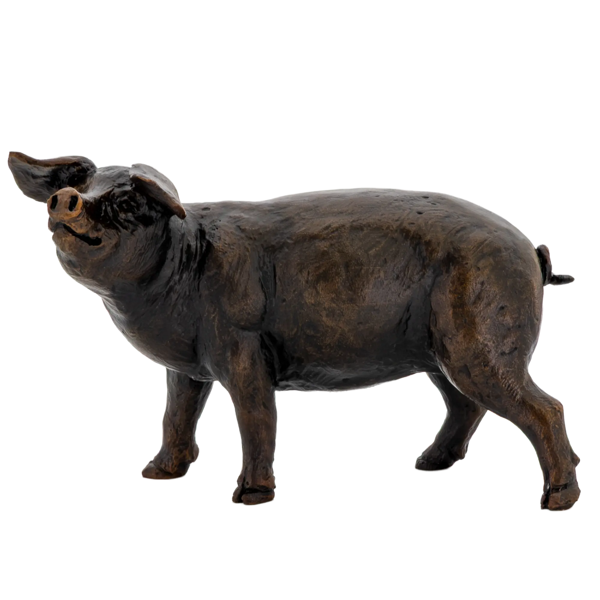 Richard Cooper Bronze Animals Collection Gloucester Old Spot Figurine