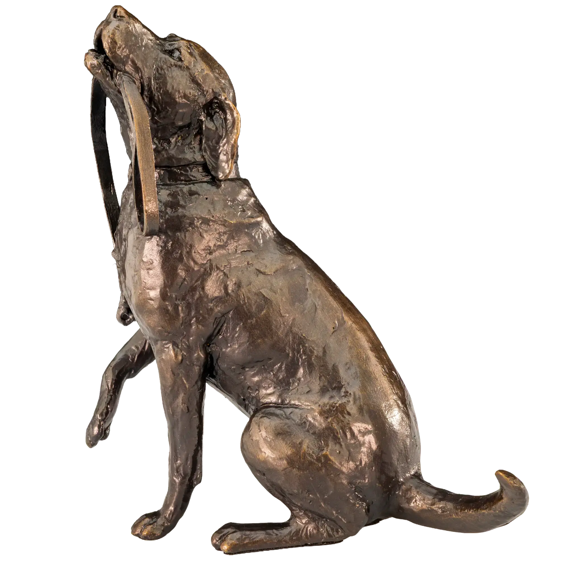 Richard Cooper Limited Edition Bronze Labrador with Lead Figurine