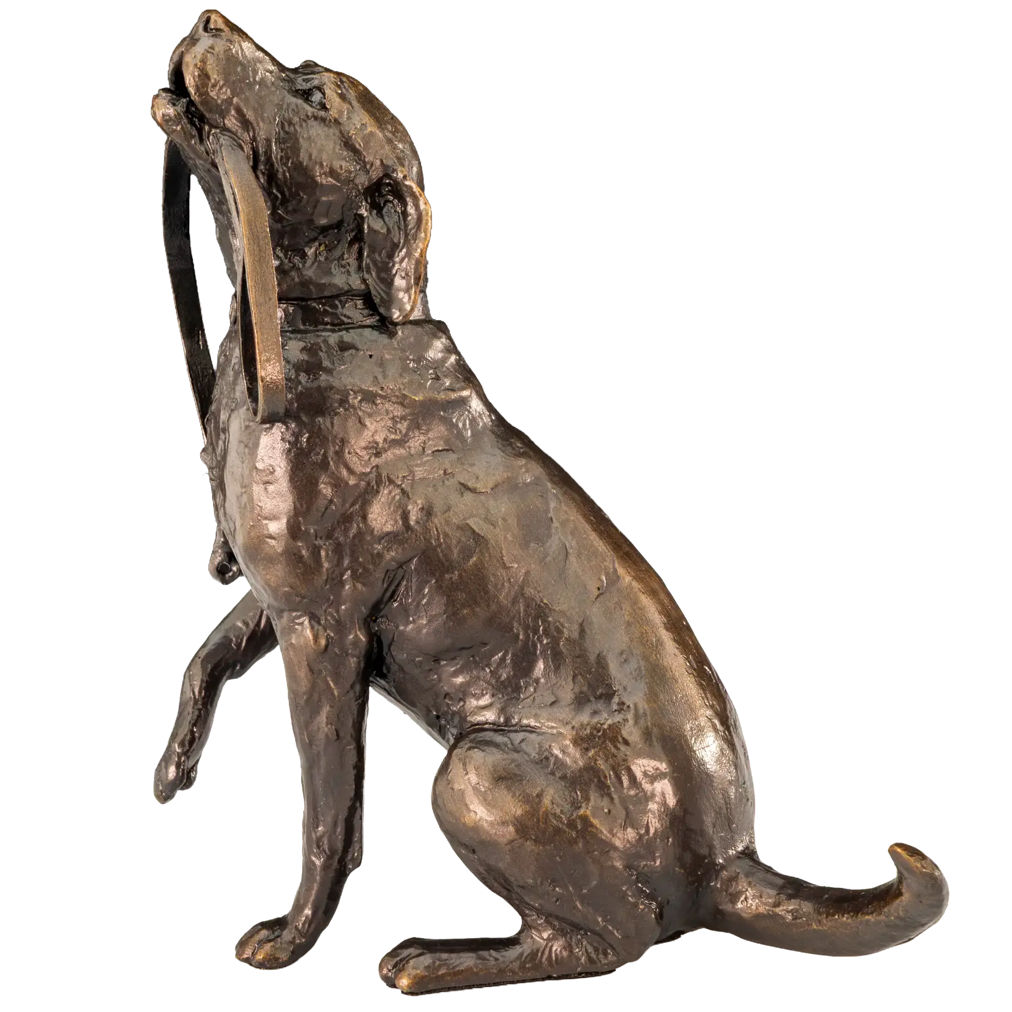 Richard Cooper Limited Edition Bronze Labrador with Lead Figurine