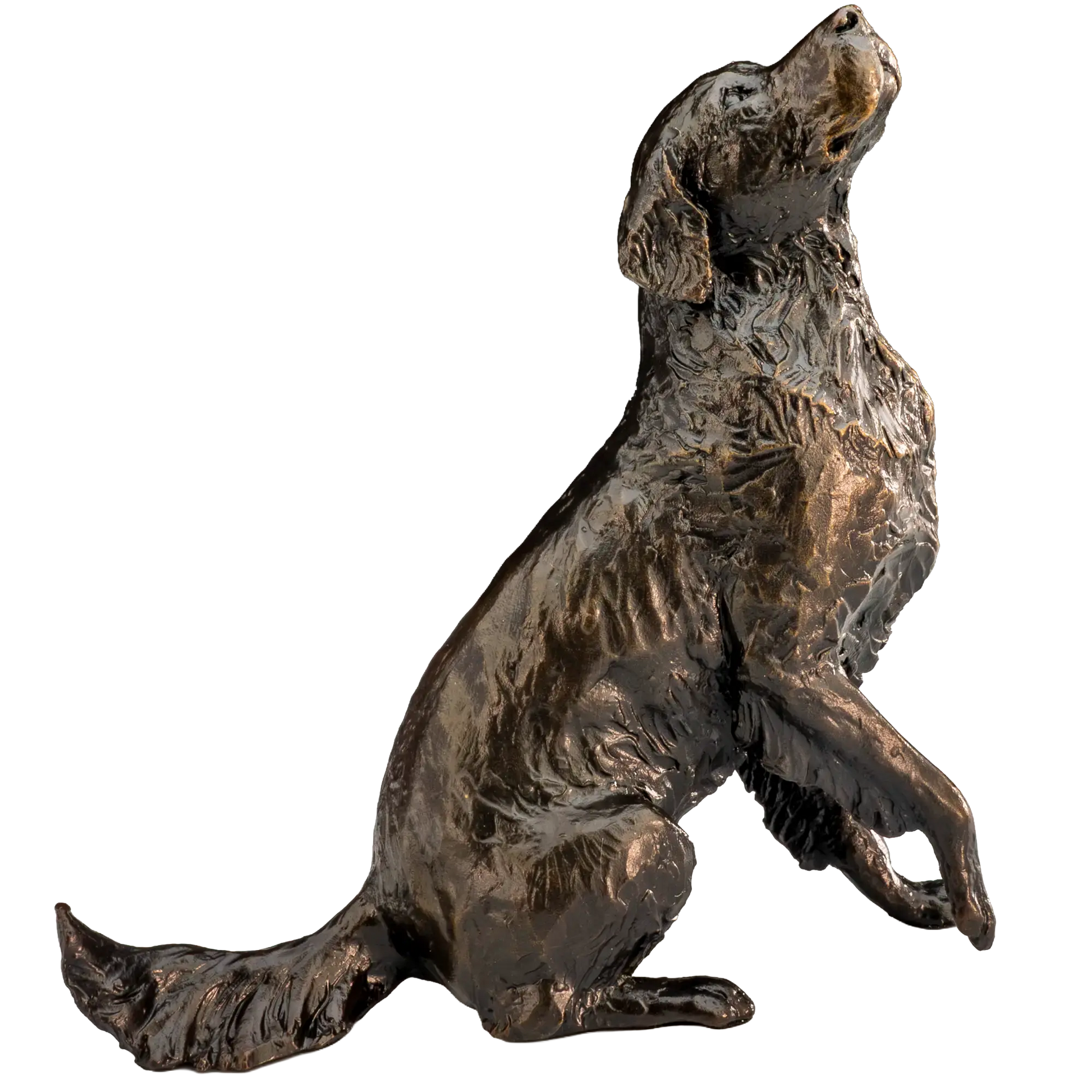 Richard Cooper Limited Edition Bronze Medium Retriever Sitting Figurine