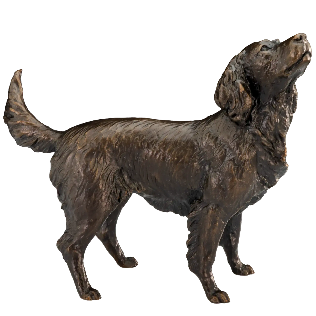Richard Cooper Bronze Medium Springer Spaniel Figurine Dog Sculpture