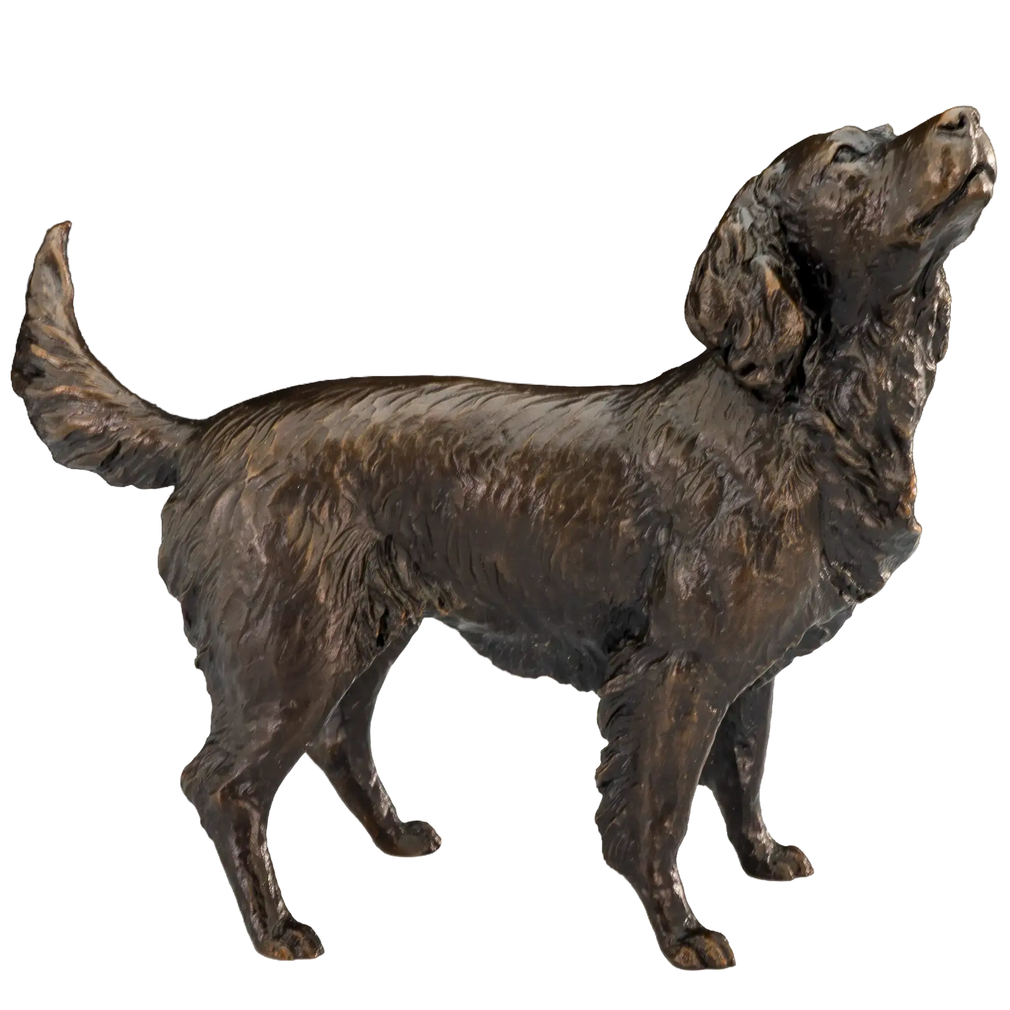 Richard Cooper Bronze Medium Springer Spaniel Figurine Dog Sculpture