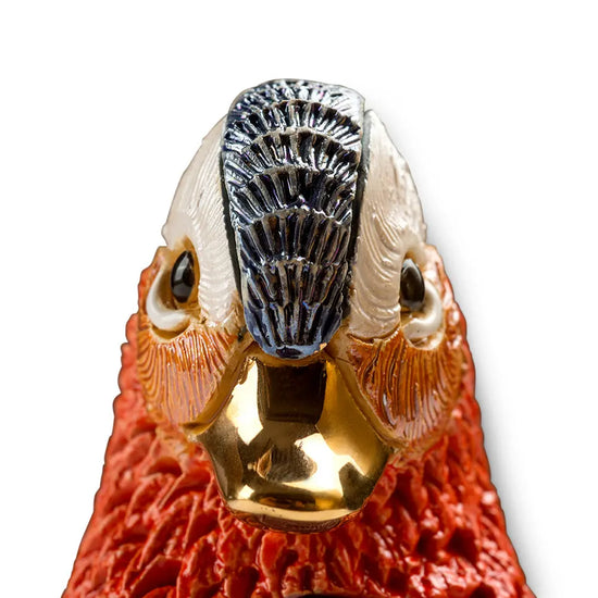 Rinconada De Rosa Mandarin Duck