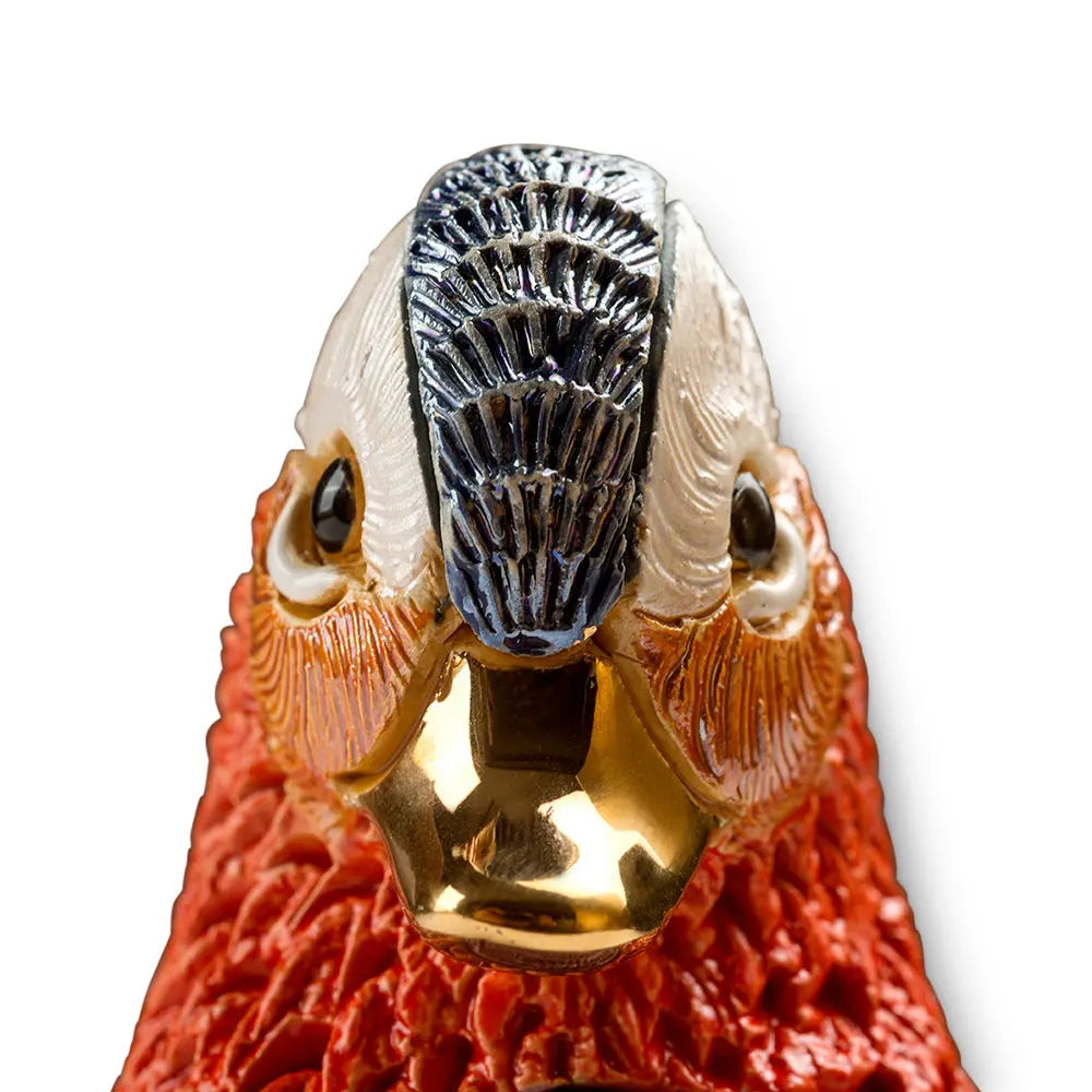 Rinconada De Rosa Mandarin Duck