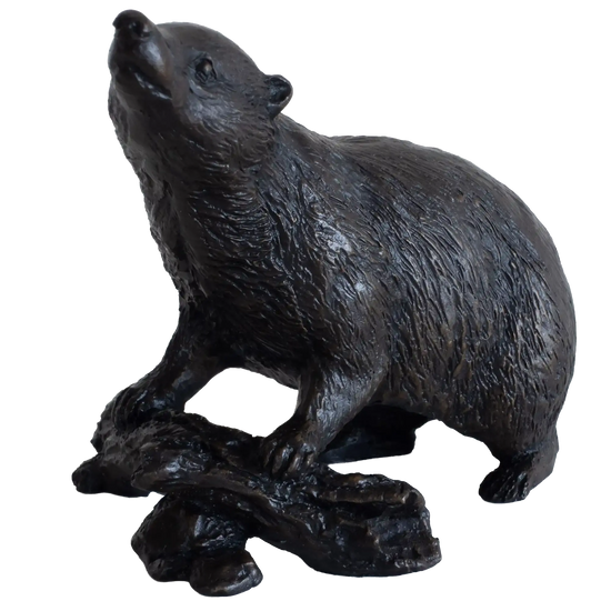 Richard Cooper Bronze Animals Collection Badger Figurine