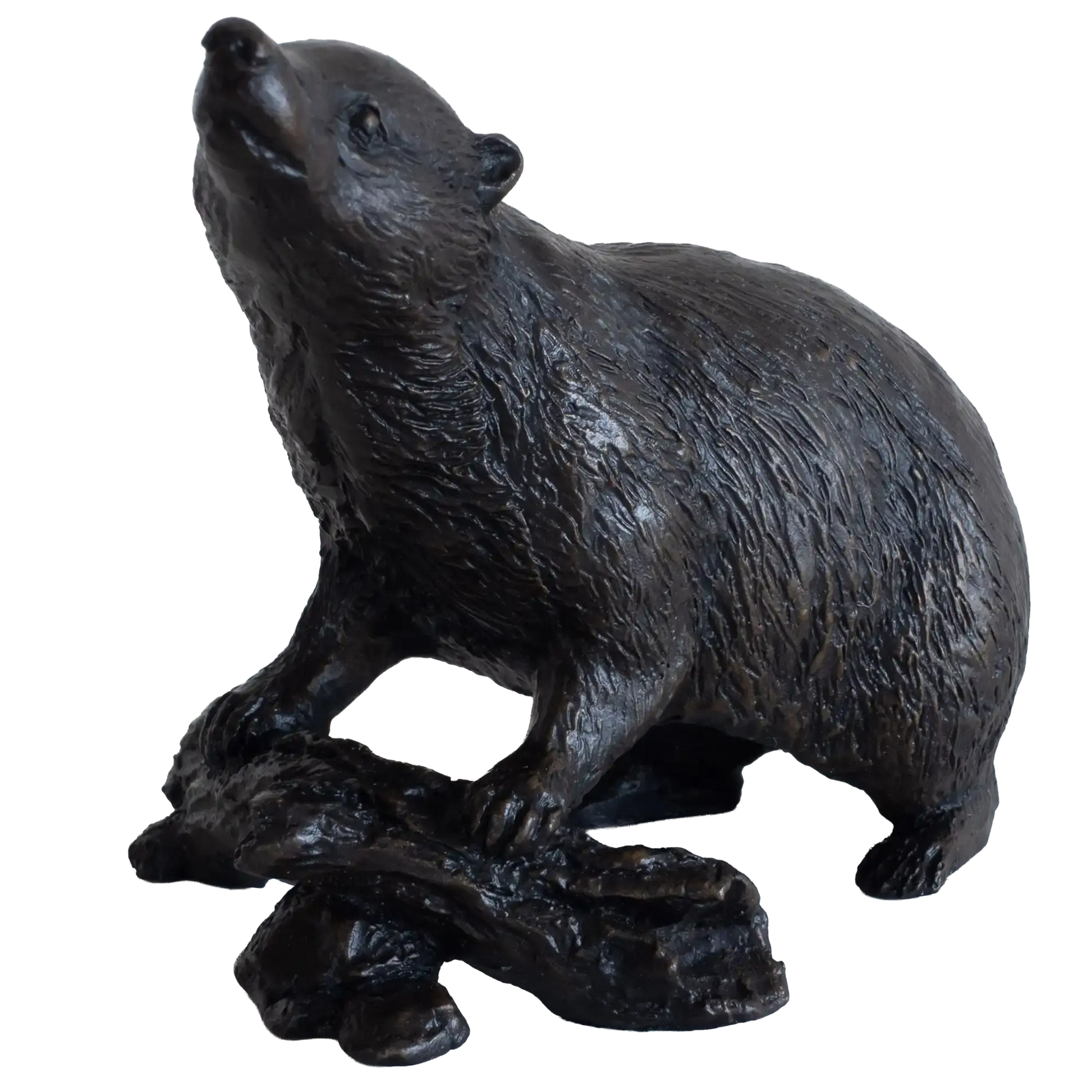 Richard Cooper Bronze Animals Collection Badger Figurine
