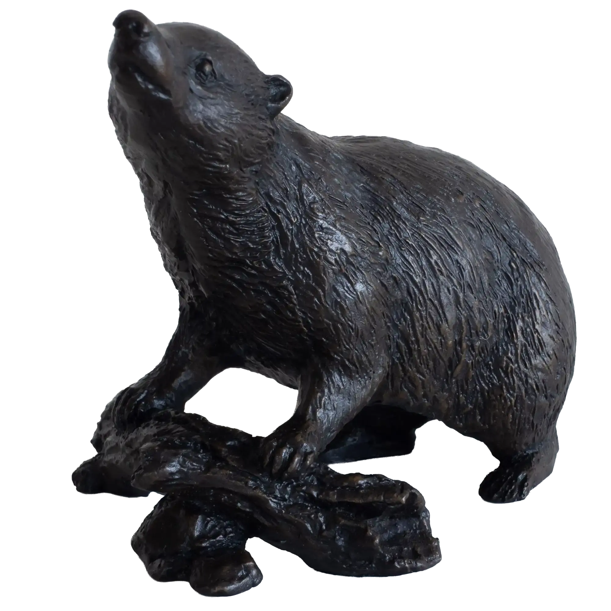 Richard Cooper Bronze Animals Collection Badger Figurine