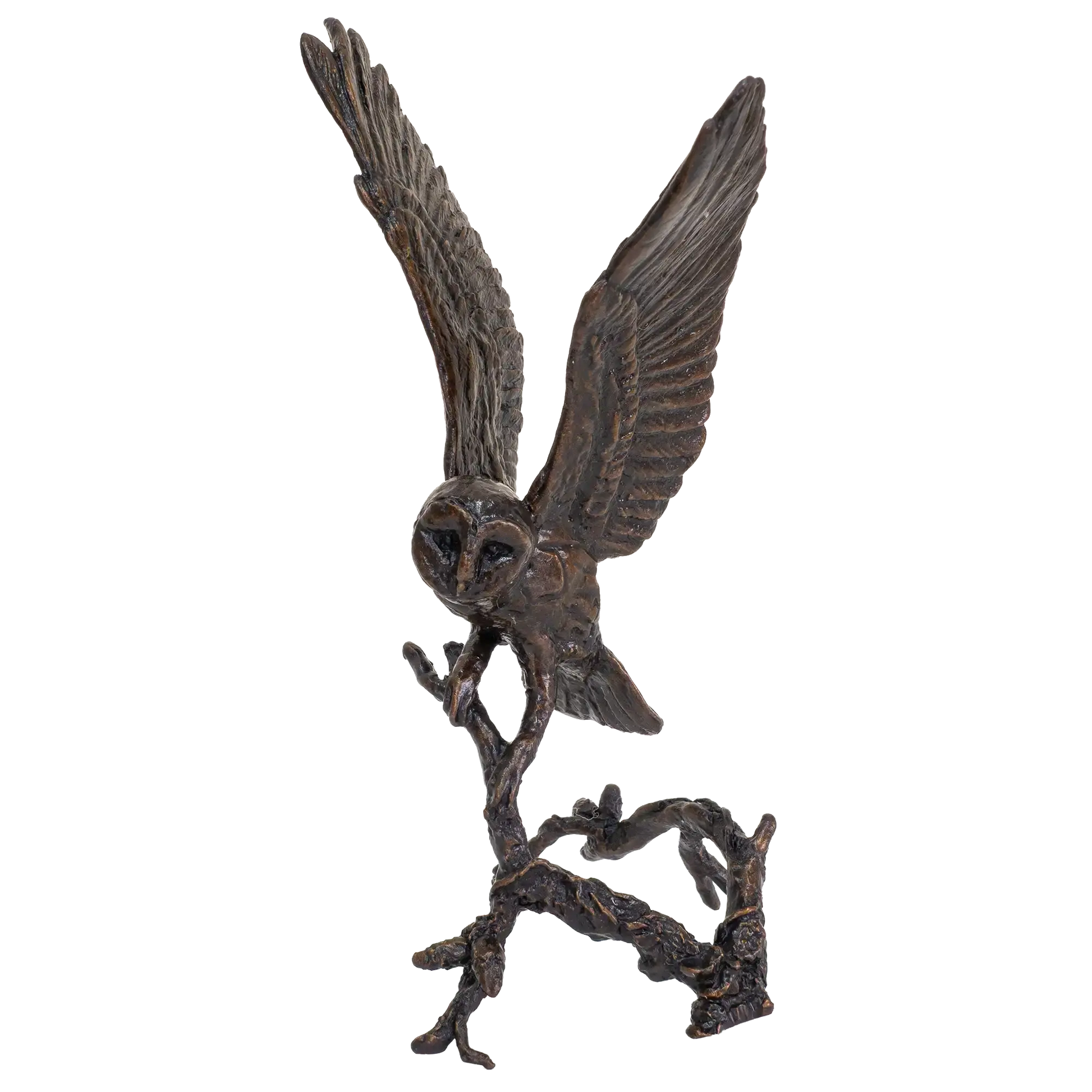 Richard Cooper Bronze Birds Collection Barn Owl with Pinecones