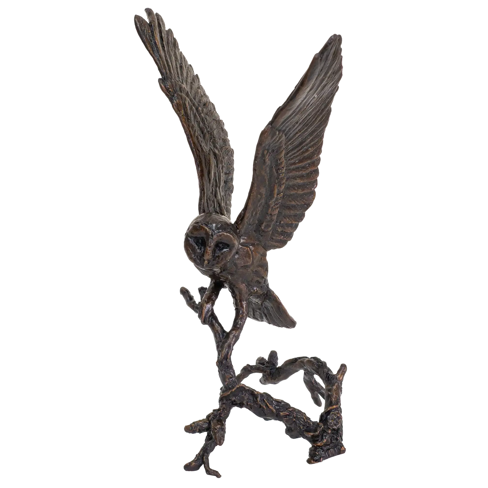 Richard Cooper Bronze Birds Collection Barn Owl with Pinecones