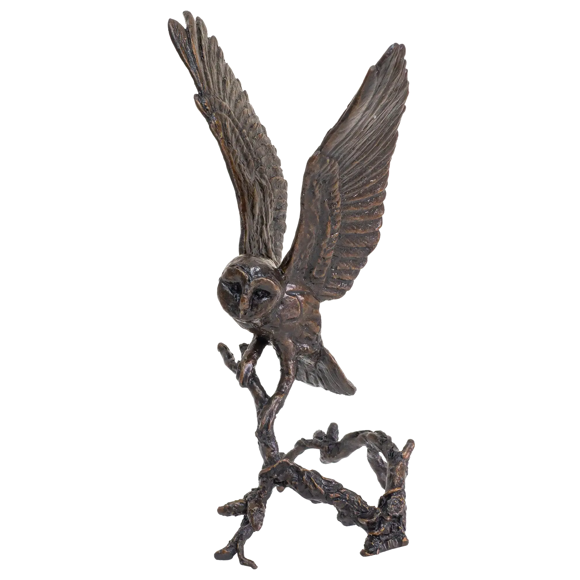 Richard Cooper Bronze Birds Collection Barn Owl with Pinecones