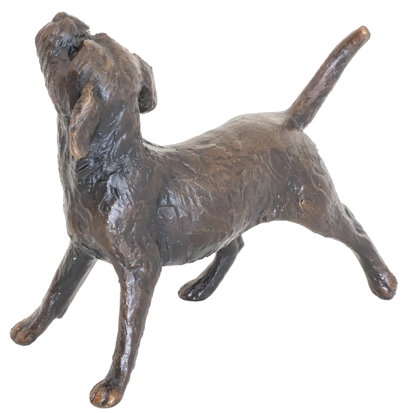Richard Cooper Limited Edition Bronze Border Terrier Figurine