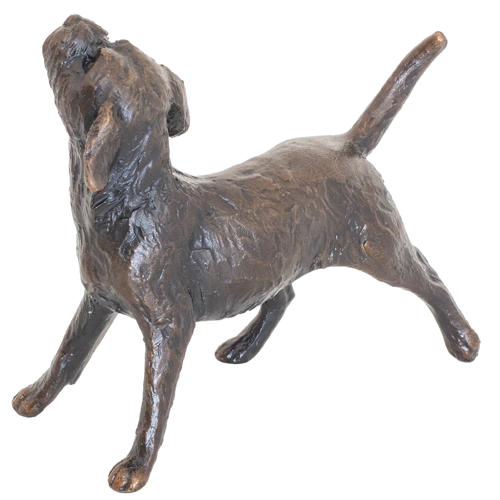 Richard Cooper Limited Edition Bronze Border Terrier Figurine