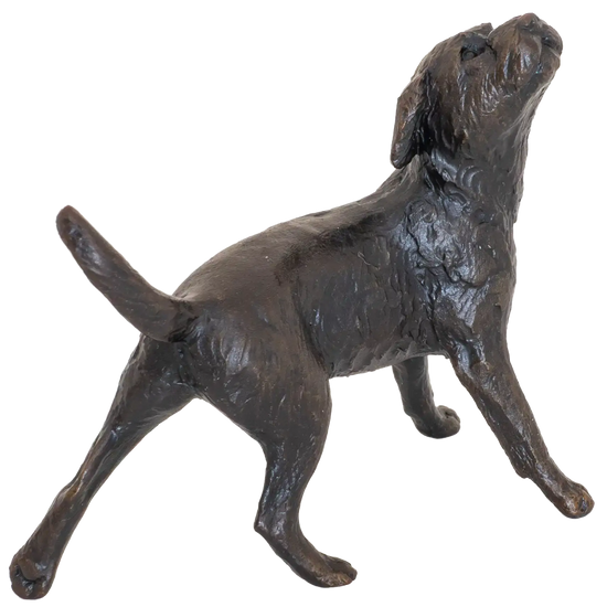 Richard Cooper Limited Edition Bronze Border Terrier Figurine