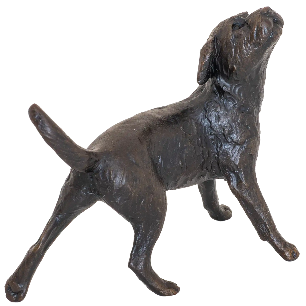 Richard Cooper Limited Edition Bronze Border Terrier Figurine