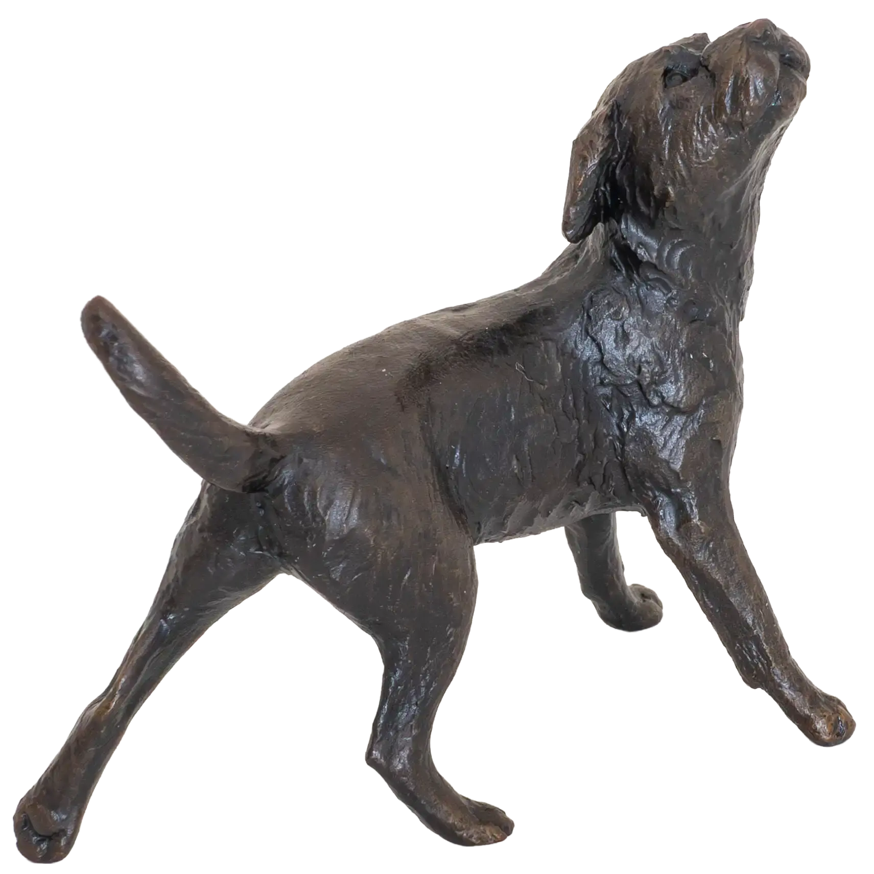 Richard Cooper Limited Edition Bronze Border Terrier Figurine
