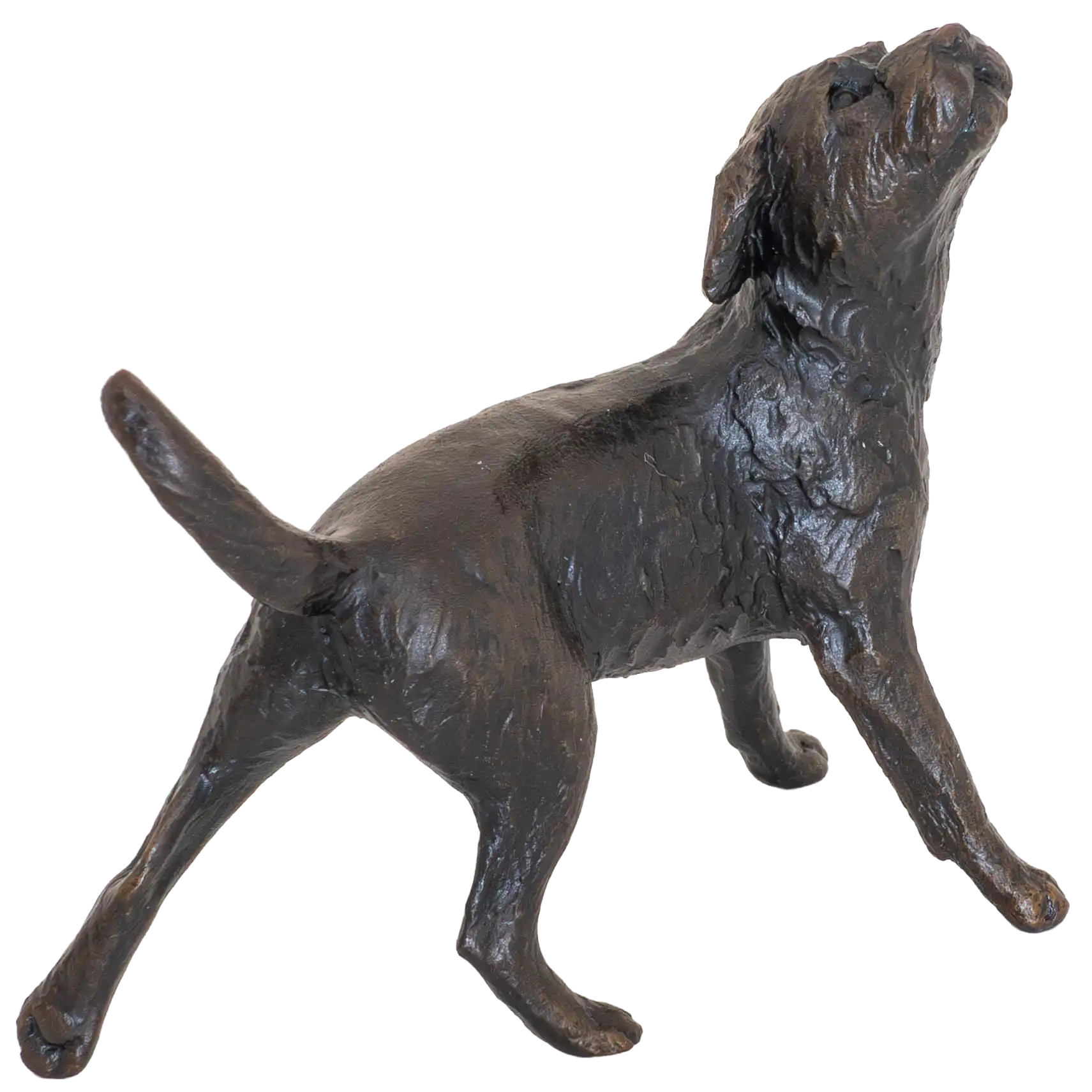 Richard Cooper Limited Edition Bronze Border Terrier Figurine