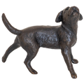 Richard Cooper Limited Edition Bronze Border Terrier Figurine