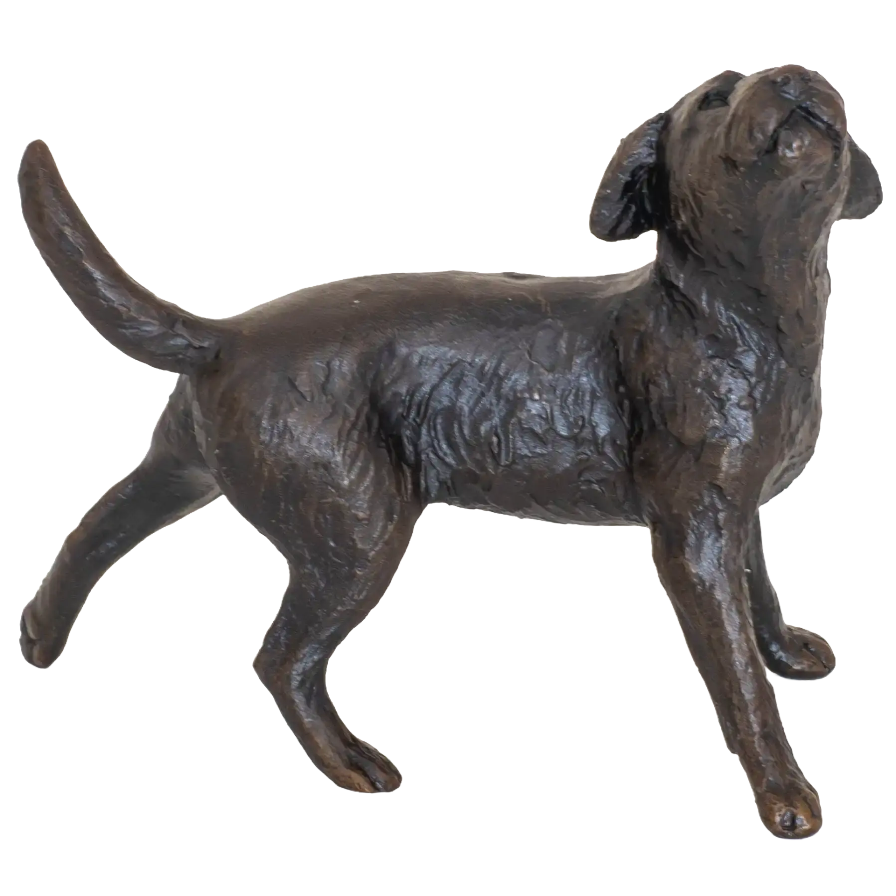 Richard Cooper Limited Edition Bronze Border Terrier Figurine