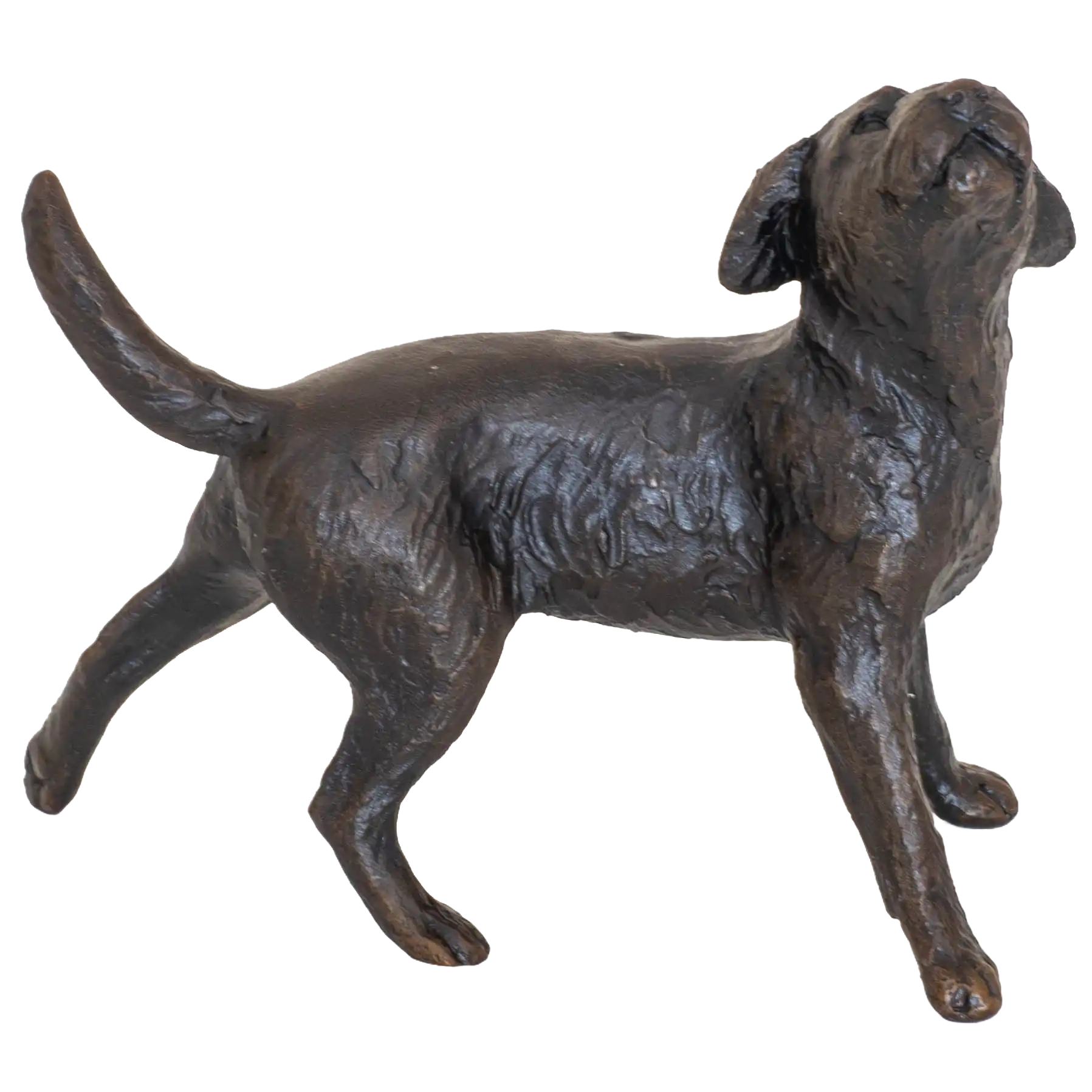 Richard Cooper Limited Edition Bronze Border Terrier Figurine