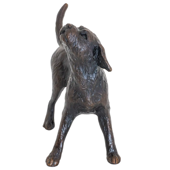 Richard Cooper Limited Edition Bronze Border Terrier Figurine