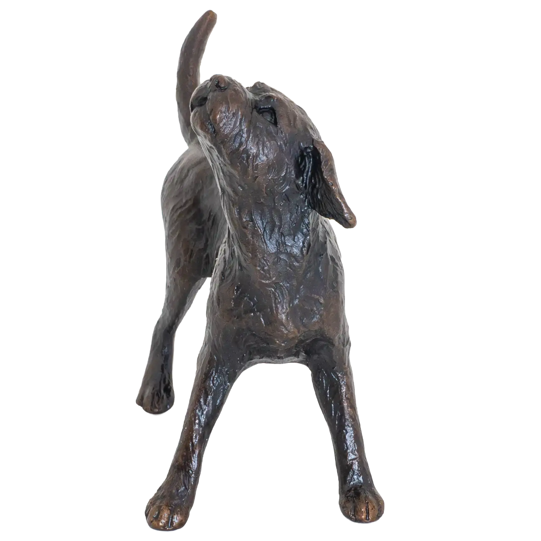 Richard Cooper Limited Edition Bronze Border Terrier Figurine