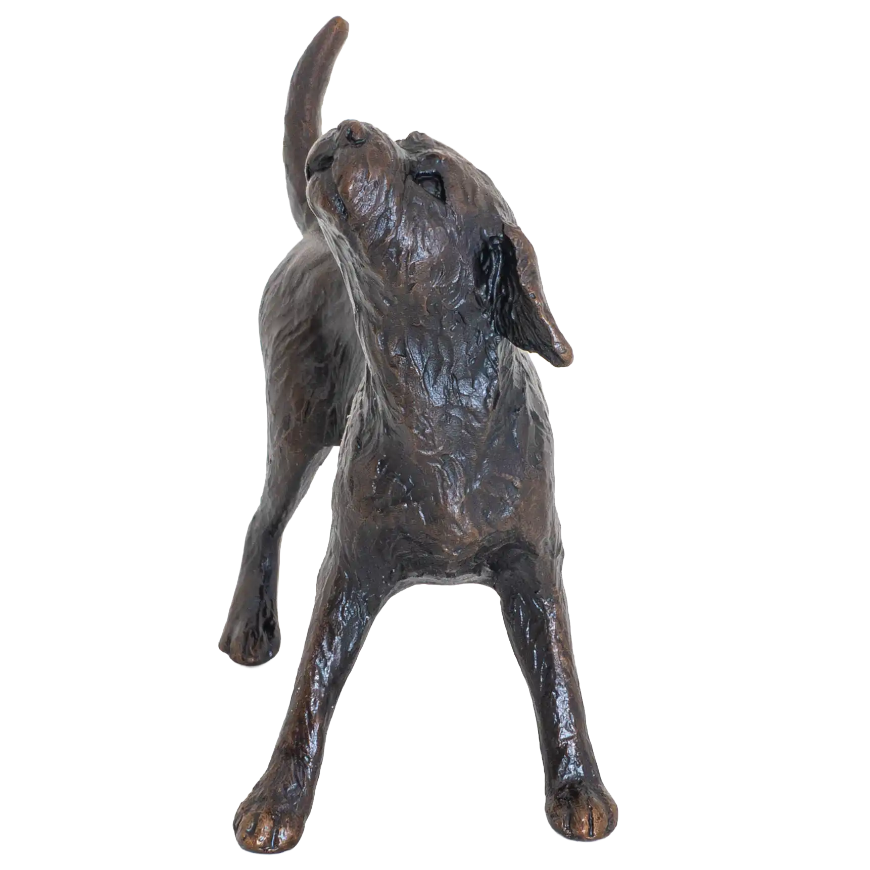 Richard Cooper Limited Edition Bronze Border Terrier Figurine