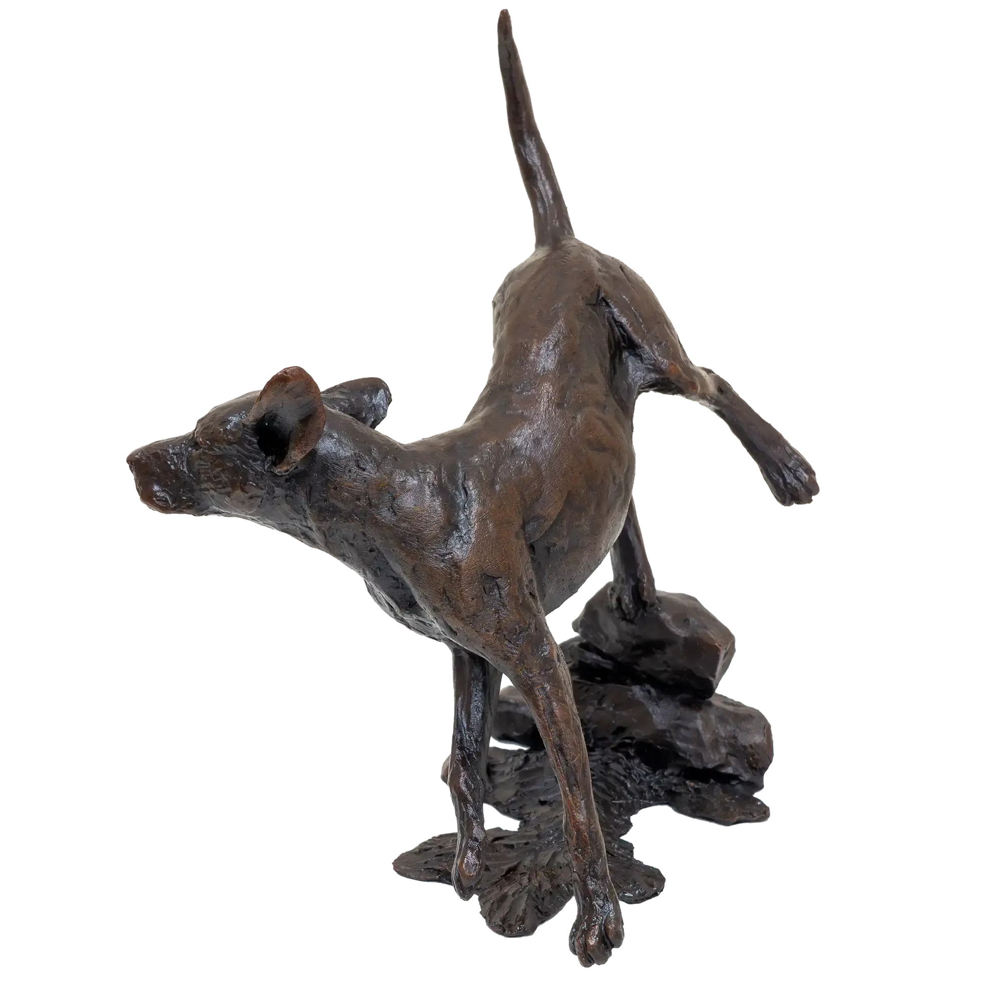 Richard Cooper Limited Edition Bronze Foxhound Figurine