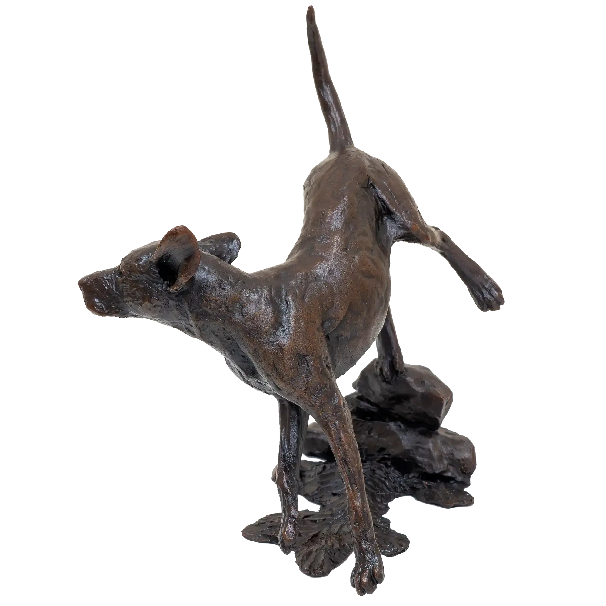 Richard Cooper Limited Edition Bronze Foxhound Figurine