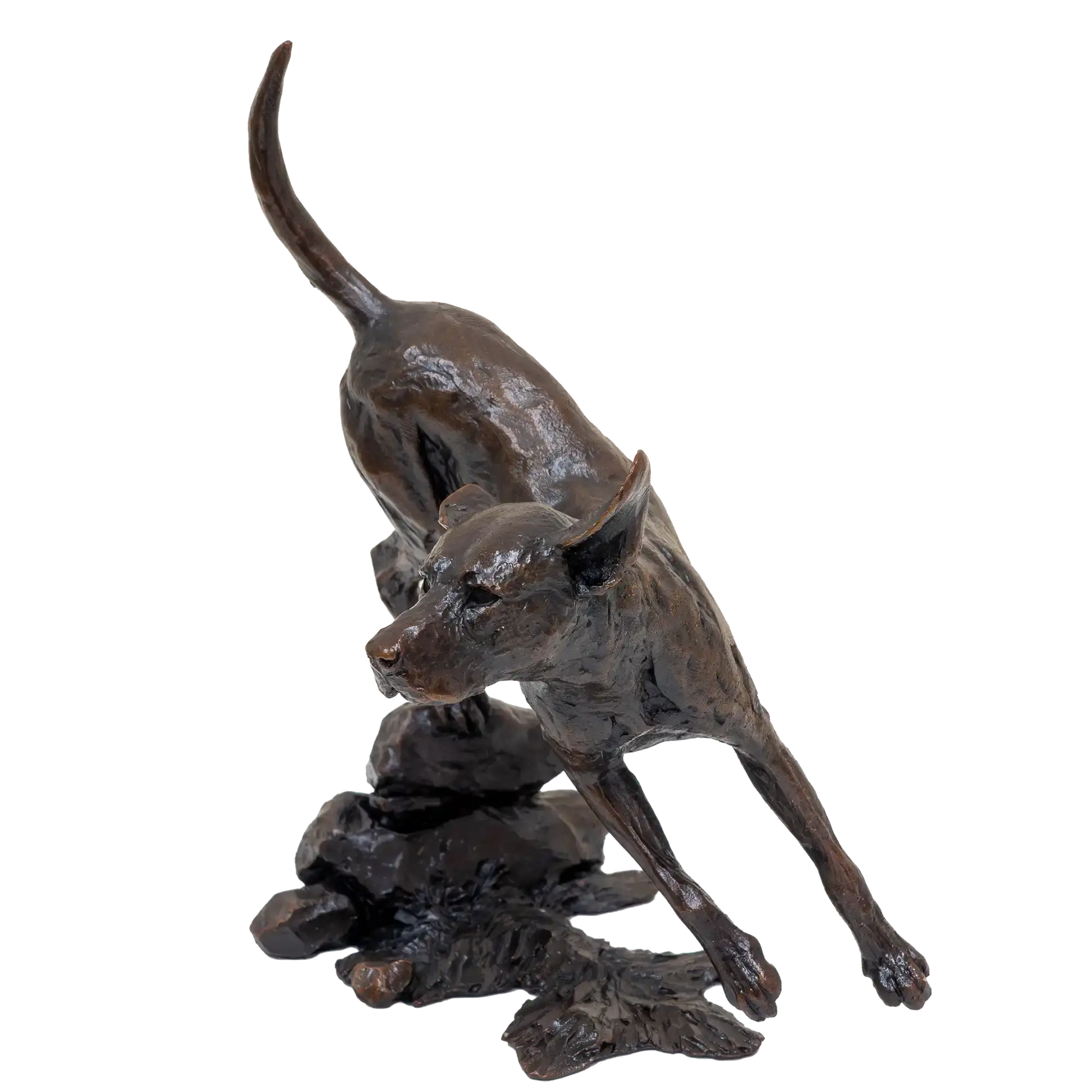 Richard Cooper Limited Edition Bronze Foxhound Figurine
