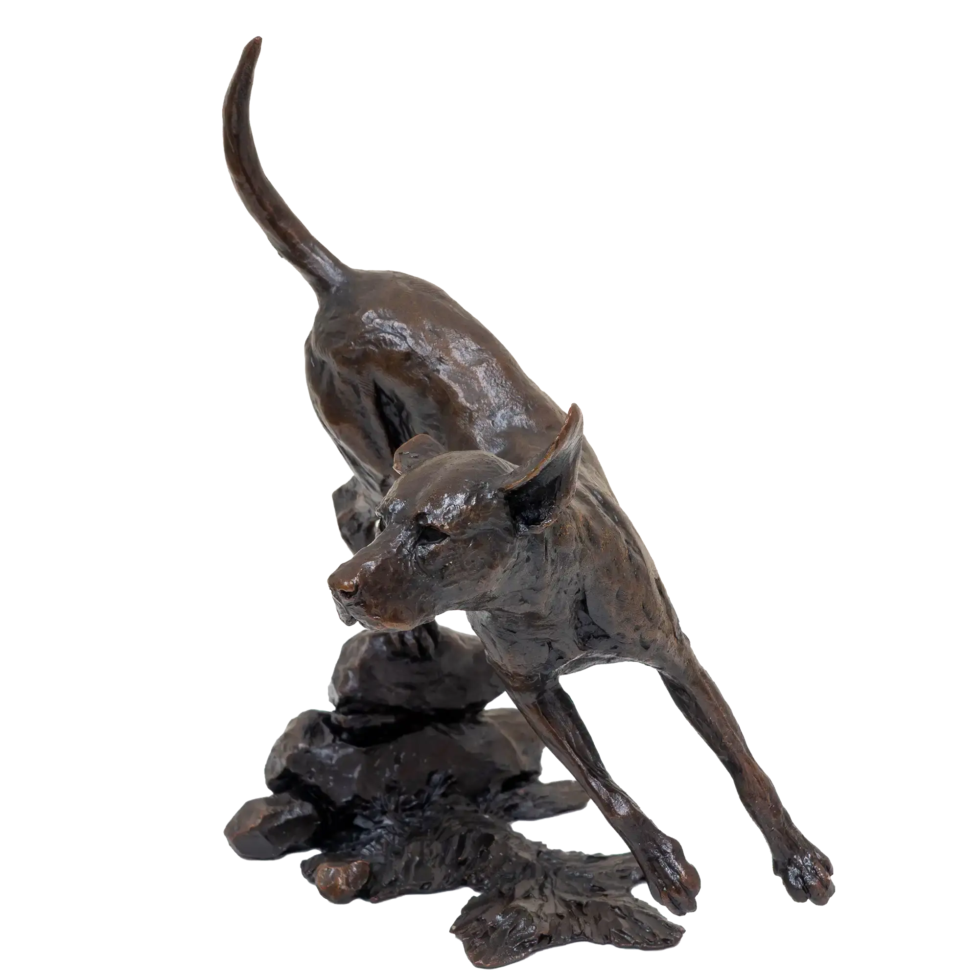 Richard Cooper Limited Edition Bronze Foxhound Figurine