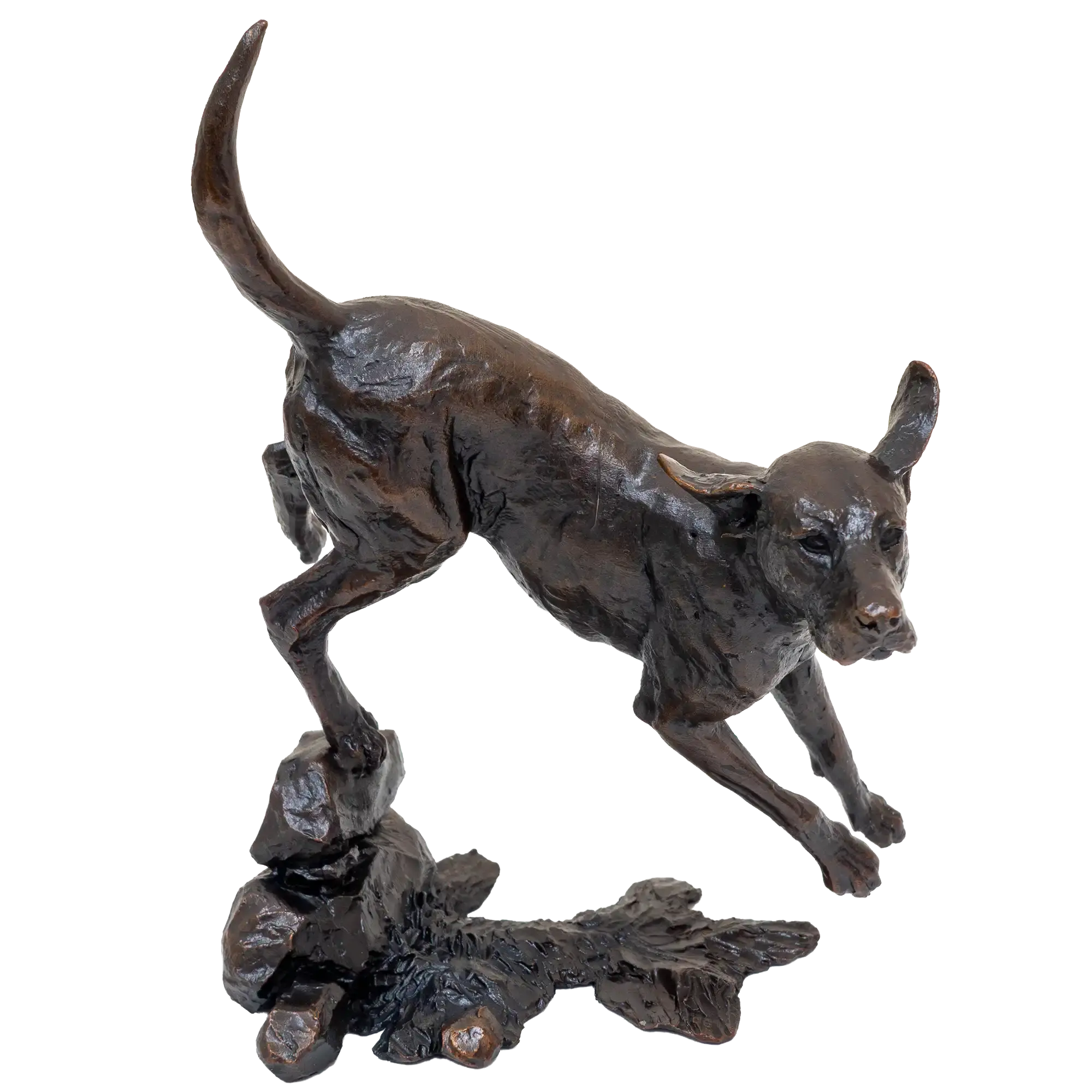 Richard Cooper Limited Edition Bronze Foxhound Figurine