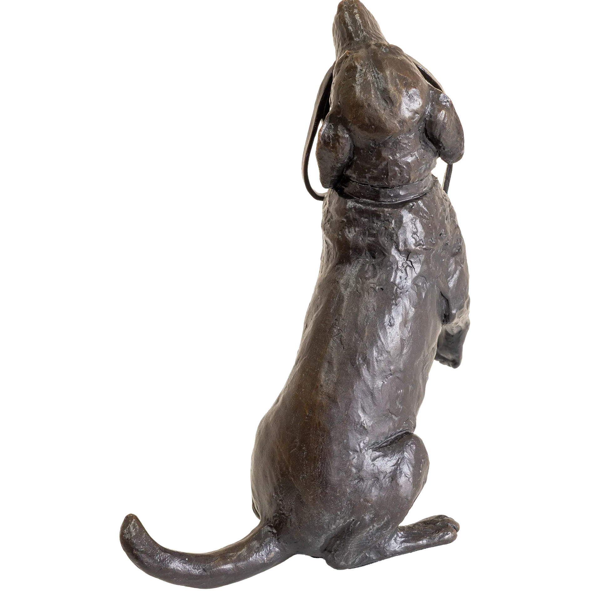 Richard Cooper Limited Edition Bronze Labrador with Lead Figurine