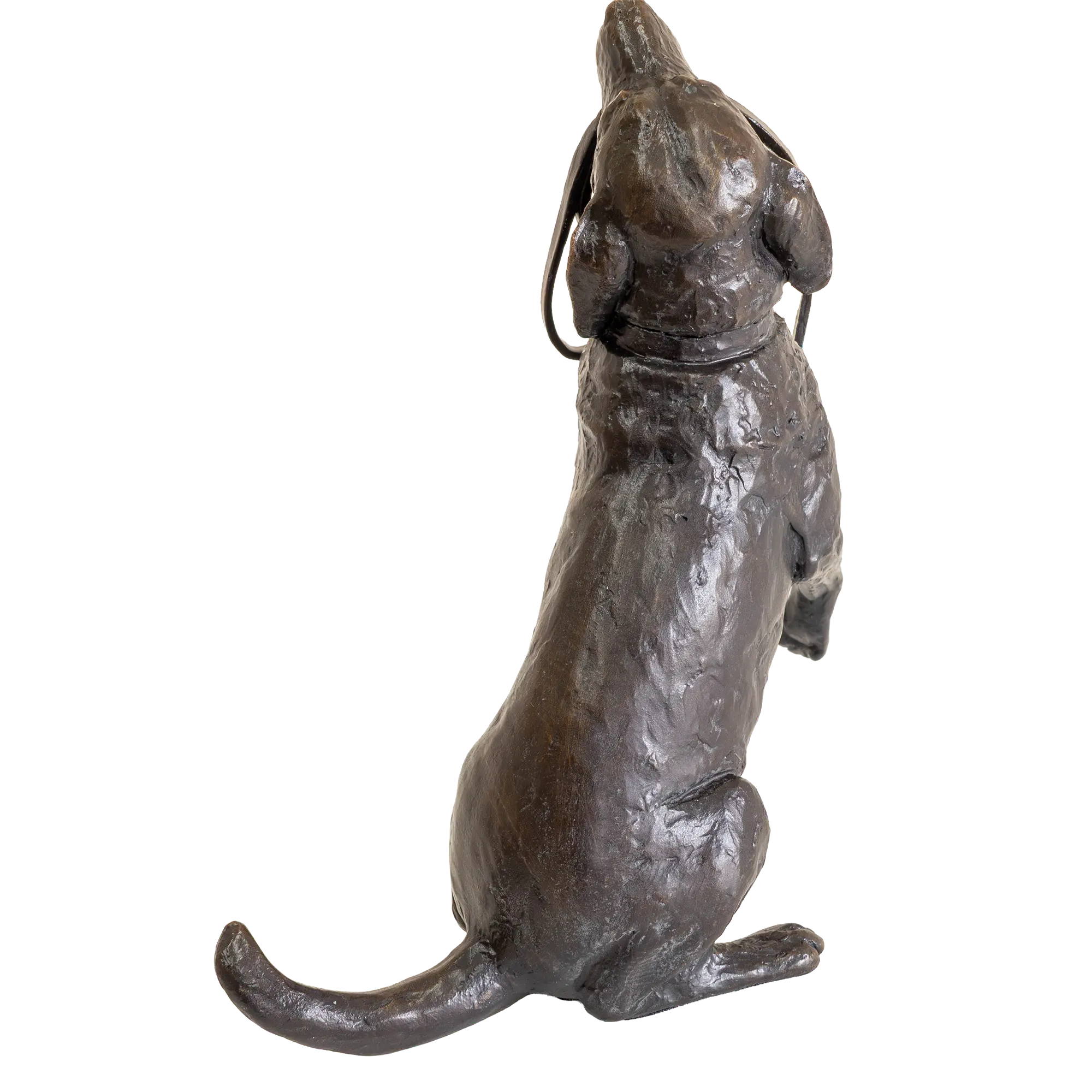 Richard Cooper Limited Edition Bronze Labrador with Lead Figurine
