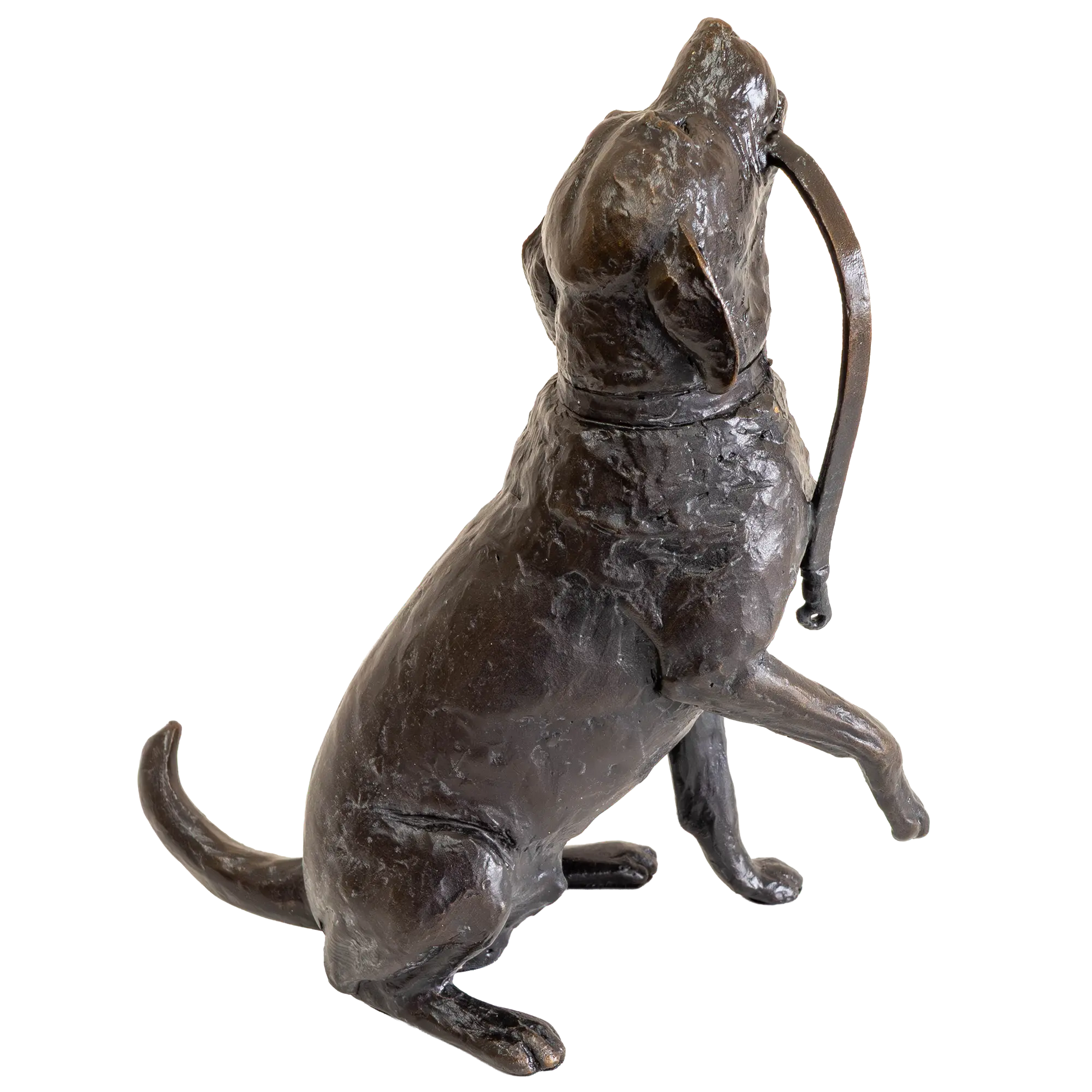 Richard Cooper Limited Edition Bronze Labrador with Lead Figurine