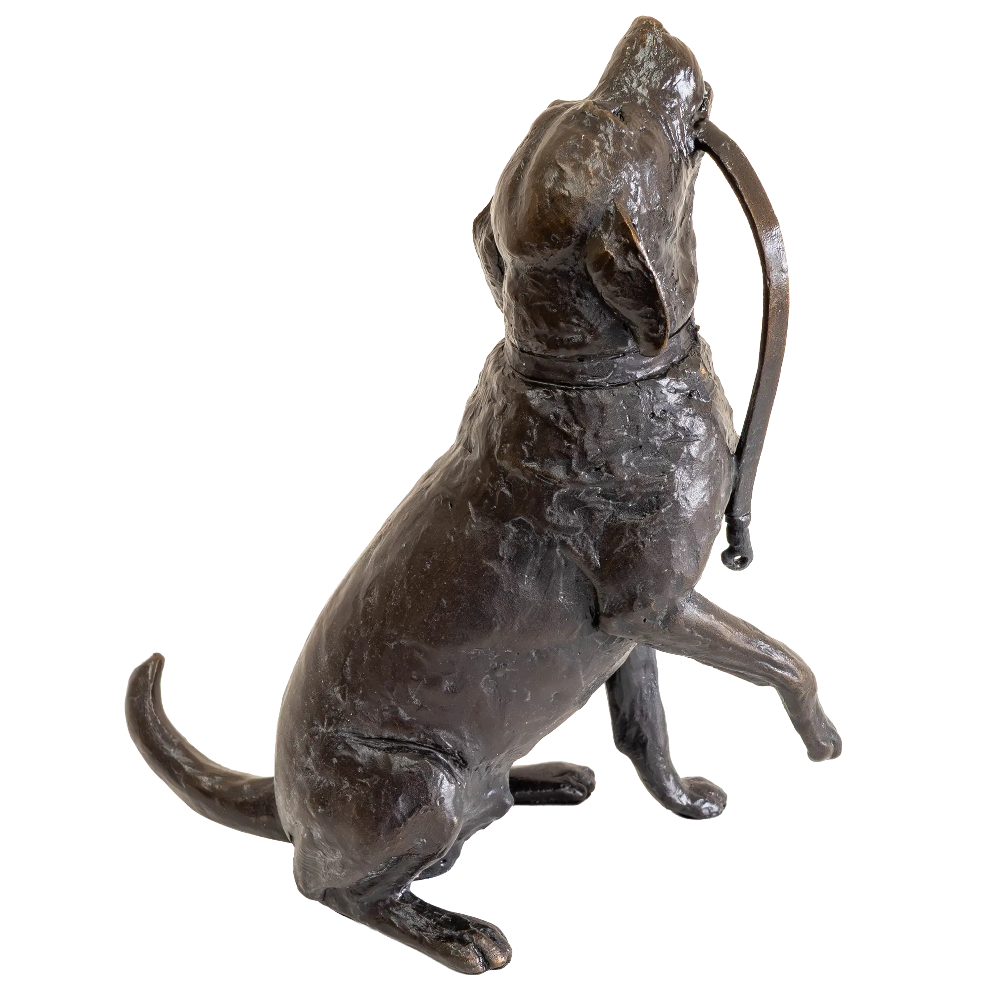 Richard Cooper Limited Edition Bronze Labrador with Lead Figurine