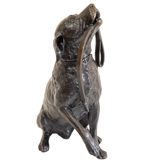 Richard Cooper Limited Edition Bronze Labrador with Lead Figurine