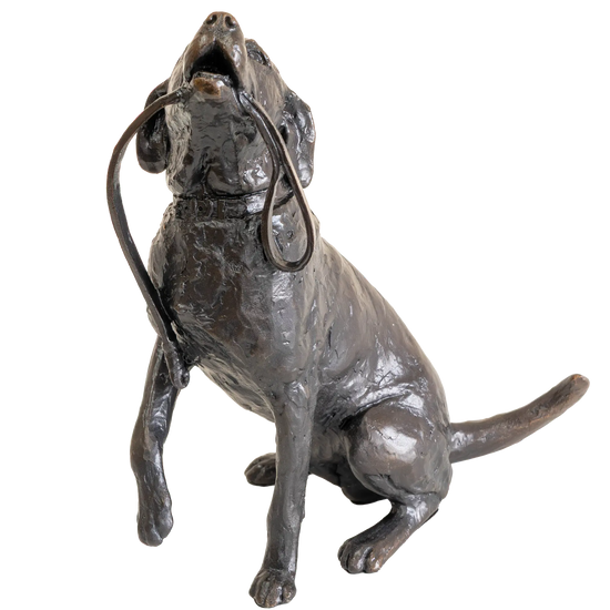 Richard Cooper Limited Edition Bronze Labrador with Lead Figurine
