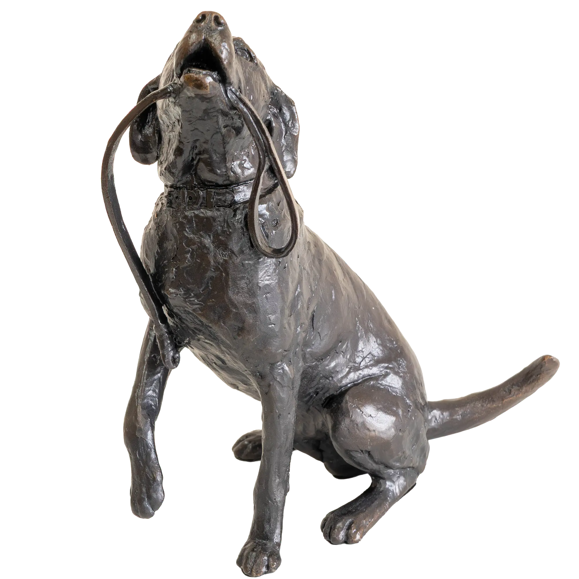 Richard Cooper Limited Edition Bronze Labrador with Lead Figurine