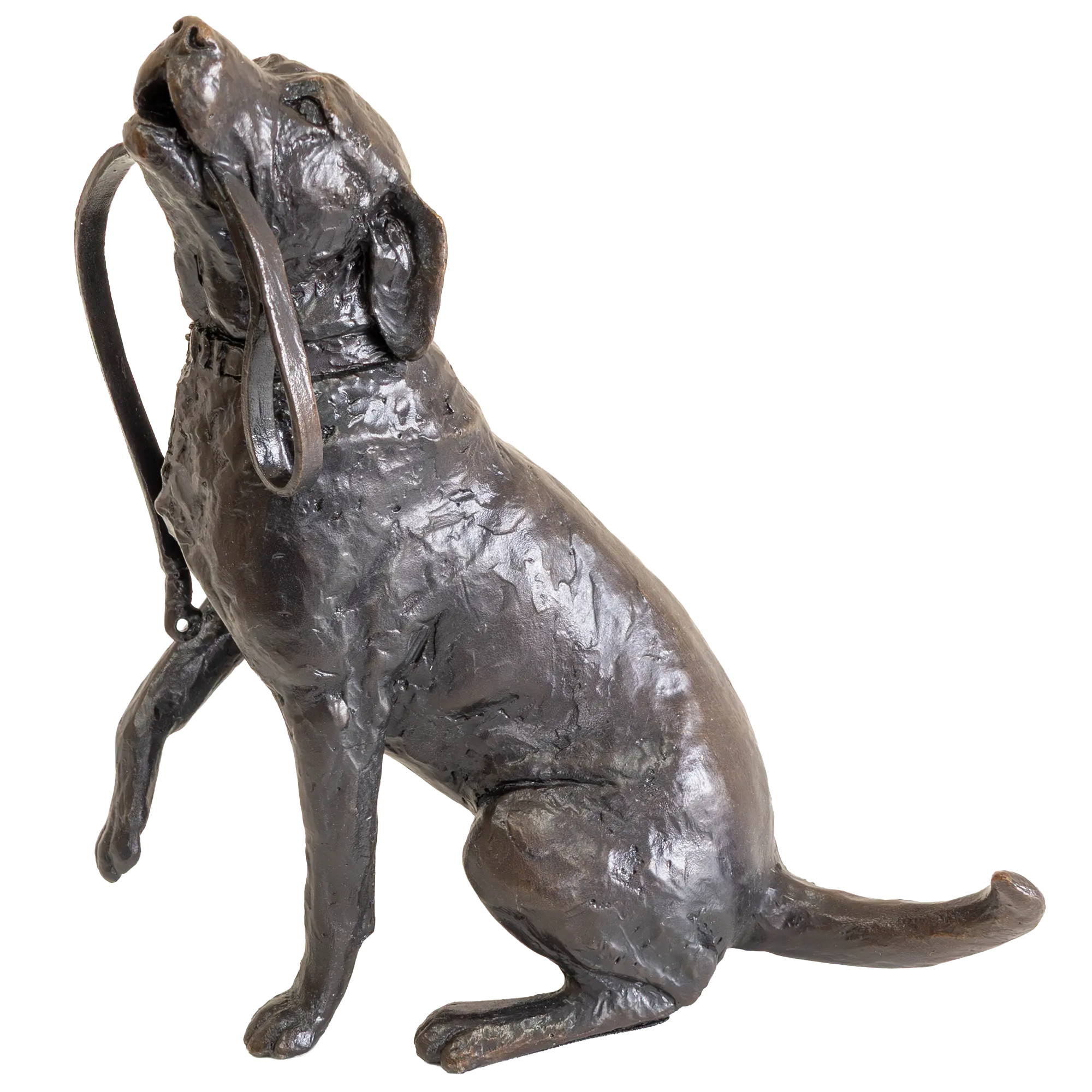 Richard Cooper Limited Edition Bronze Labrador with Lead Figurine