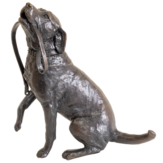 Richard Cooper Limited Edition Bronze Labrador with Lead Figurine